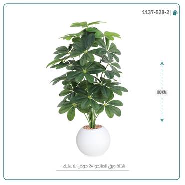 صورة مصغرة 4