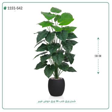 صورة مصغرة 3