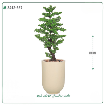 صورة مصغرة 4
