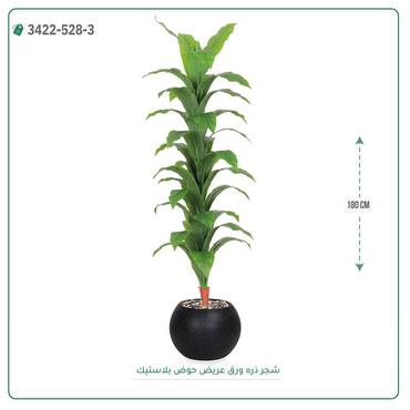 صورة مصغرة 1