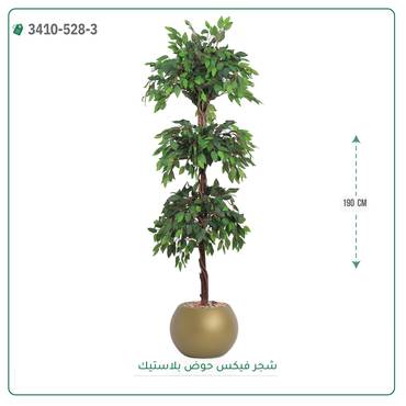صورة مصغرة 3