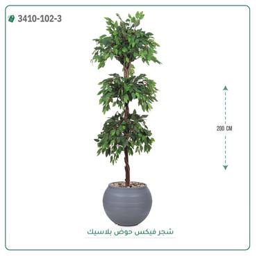 صورة مصغرة 4
