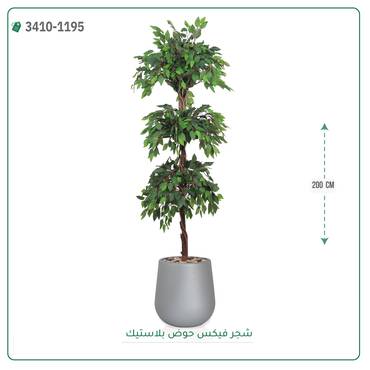 صورة مصغرة 8