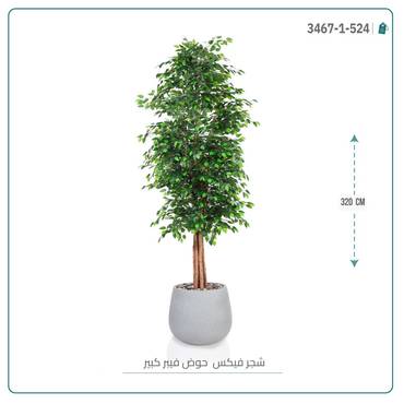 صورة مصغرة 7
