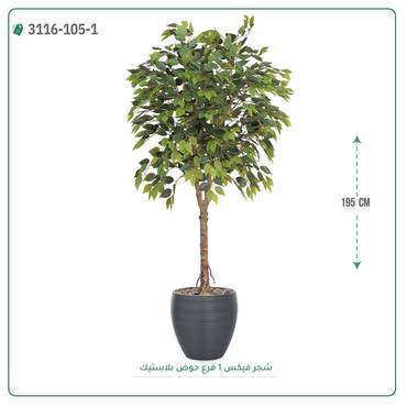 صورة مصغرة 6