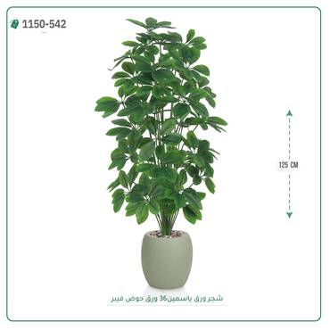 صورة مصغرة 6