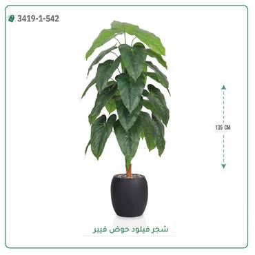 صورة مصغرة 7