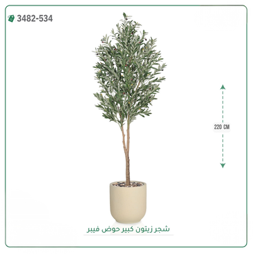 صورة مصغرة 3