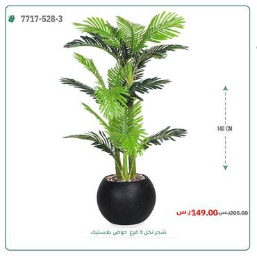 صورة مصغرة 4