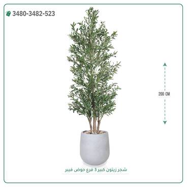 صورة مصغرة 4
