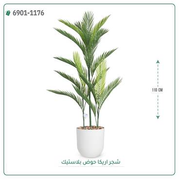 صورة مصغرة 5