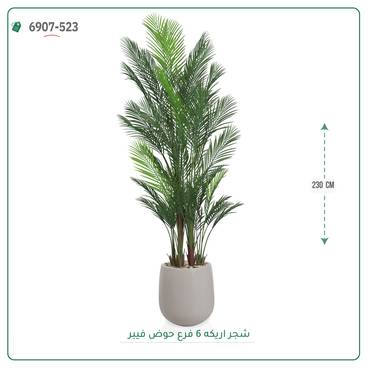 صورة مصغرة 4