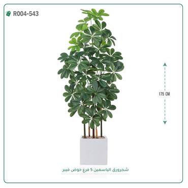 صورة مصغرة 7