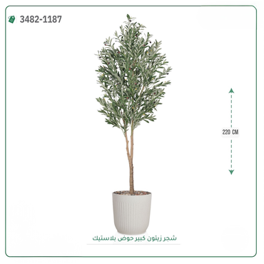 صورة مصغرة 4