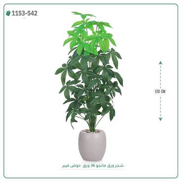 صورة مصغرة 4