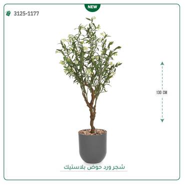 صورة مصغرة 2