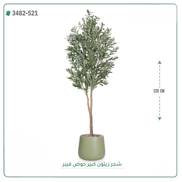صورة مصغرة 8