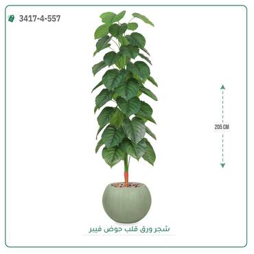 صورة مصغرة 7