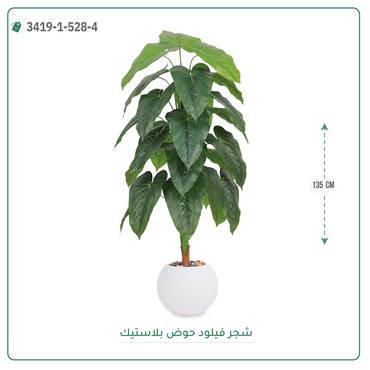 صورة مصغرة 6