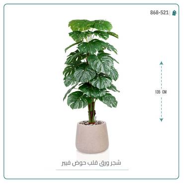 صورة مصغرة 2