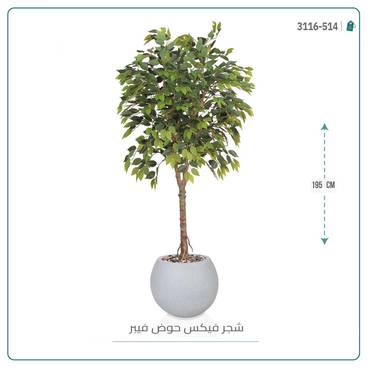 صورة مصغرة 6