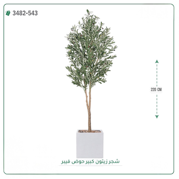 صورة مصغرة 4