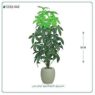 صورة مصغرة 6