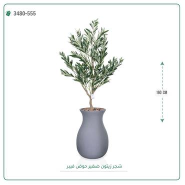 صورة مصغرة 5