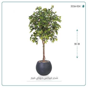 صورة مصغرة 10