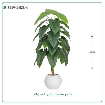 صورة مصغرة 3