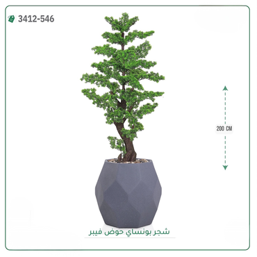 صورة مصغرة 3