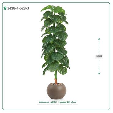 صورة مصغرة 9