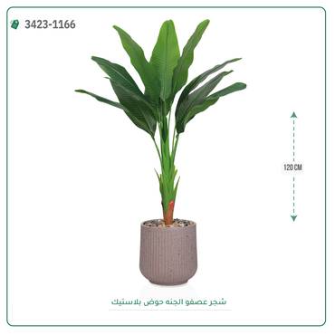 صورة مصغرة 4