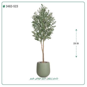 صورة مصغرة 8