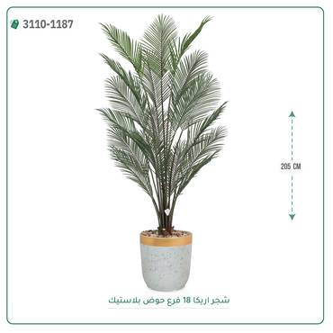 صورة مصغرة 2