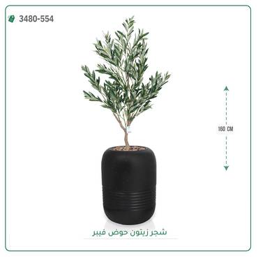صورة مصغرة 3