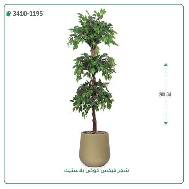 صورة مصغرة 9
