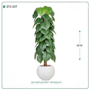 صورة مصغرة 8