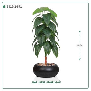 صورة مصغرة 5