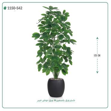 صورة مصغرة 2