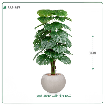 صورة مصغرة 6