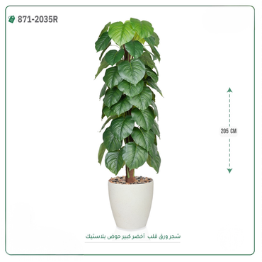 صورة مصغرة 2