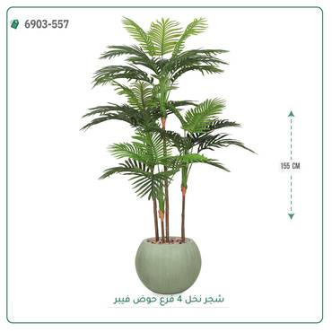 صورة مصغرة 3