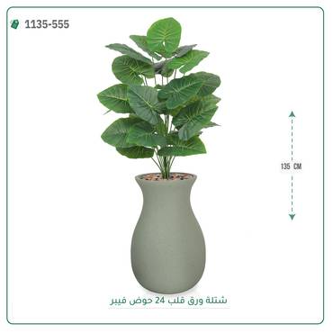 صورة مصغرة 6