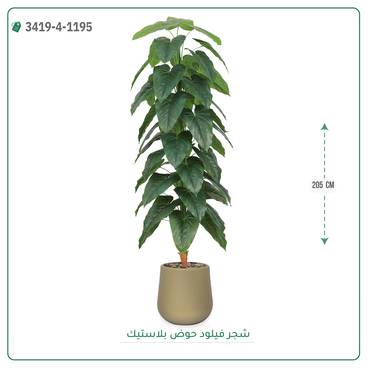 صورة مصغرة 2