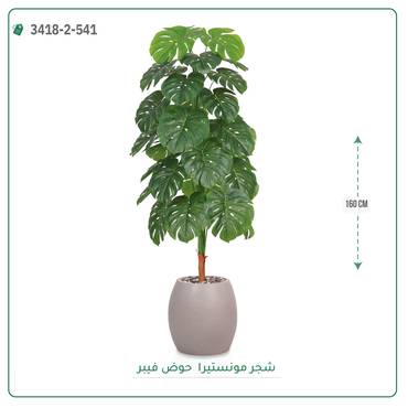 صورة مصغرة 3