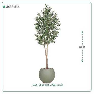 صورة مصغرة 2