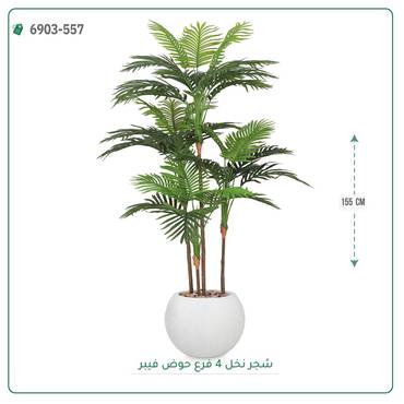 صورة مصغرة 6
