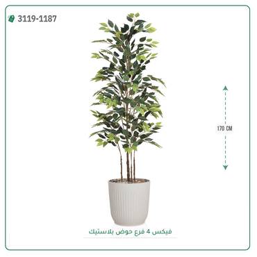 صورة مصغرة 2