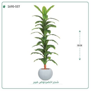 صورة مصغرة 5